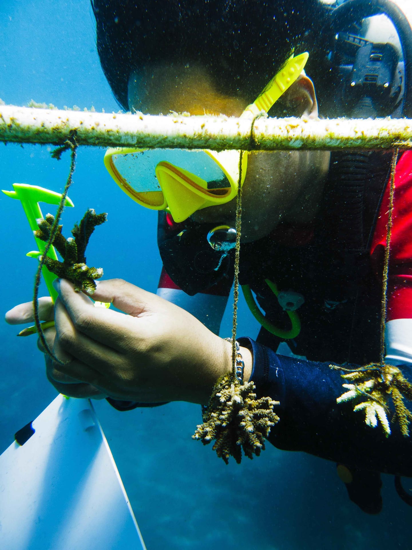 Marine Research