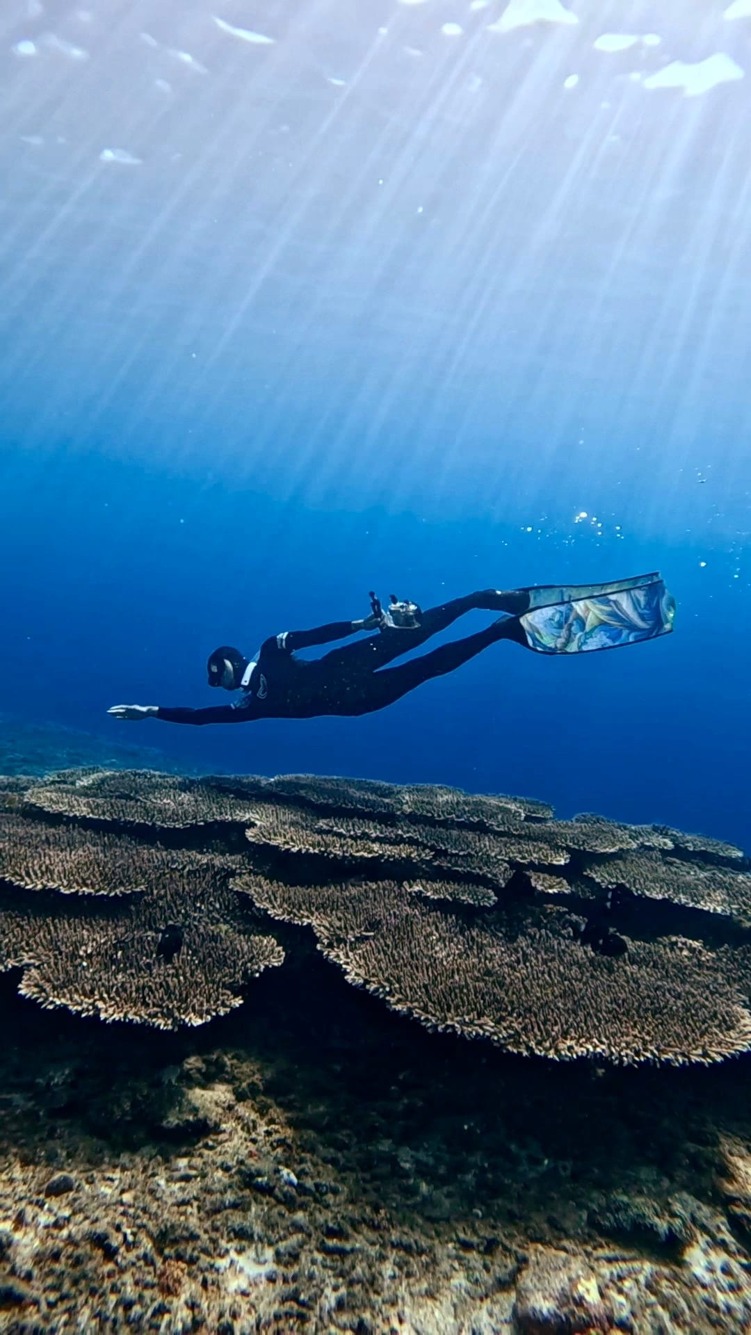 Explore Snorkeling & Diving