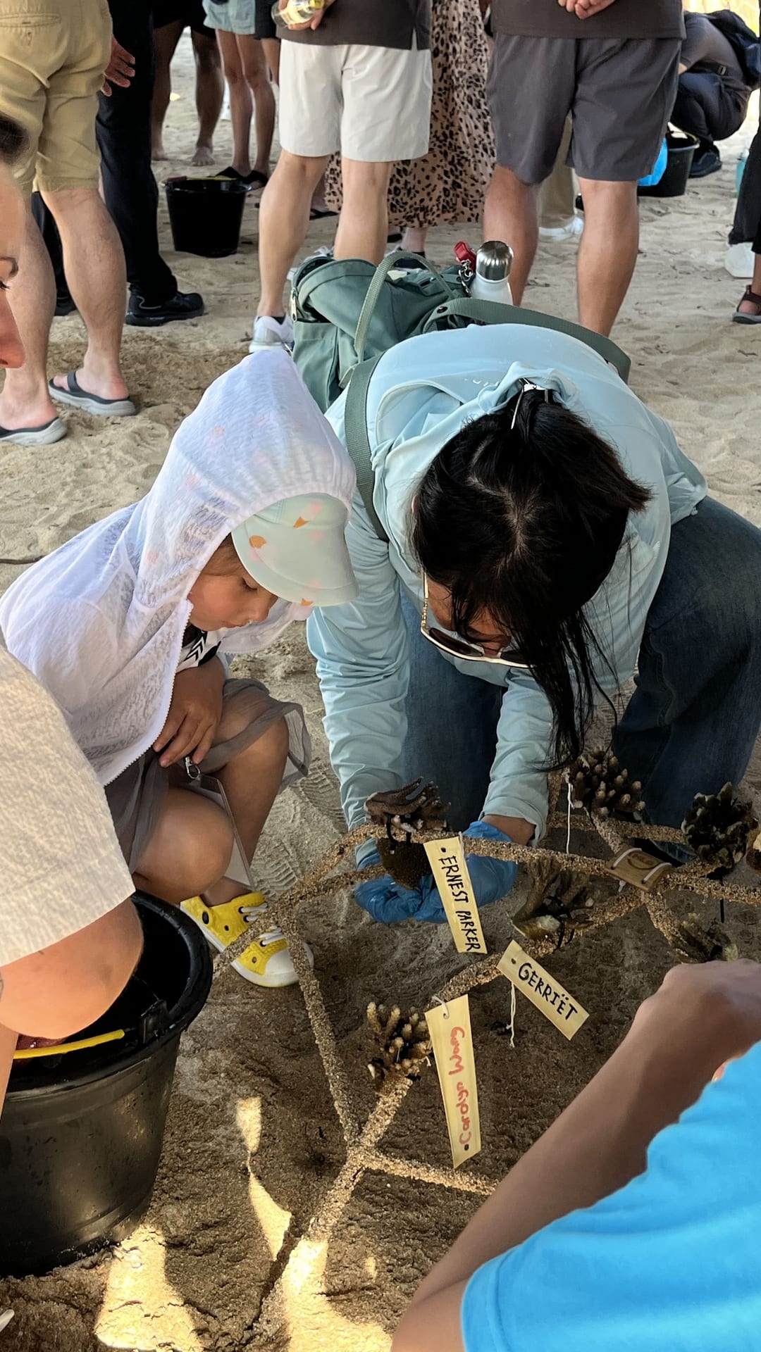 Team building outdoor activity