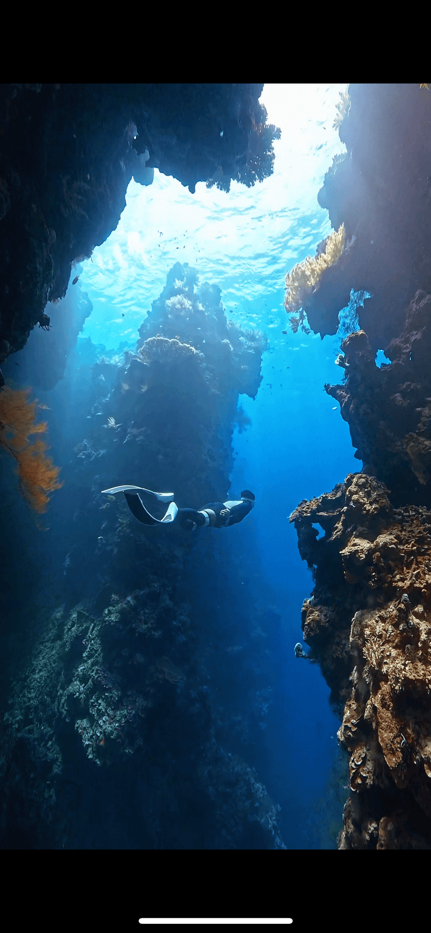 Underwater diving scene with coral reef